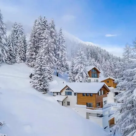 Ski In Ski Out Chalet دافوس